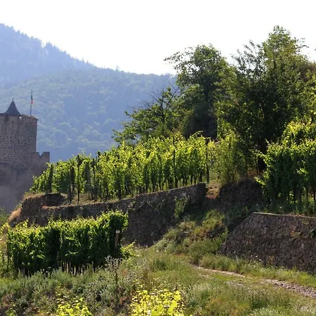 Des Cigognes Bleu Feriehus